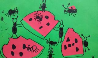 蚂蚁知了蟑螂的外形特征 蚂蚁的外形特点